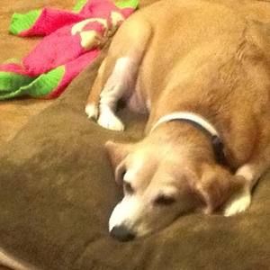 Meet your Posher, Charles